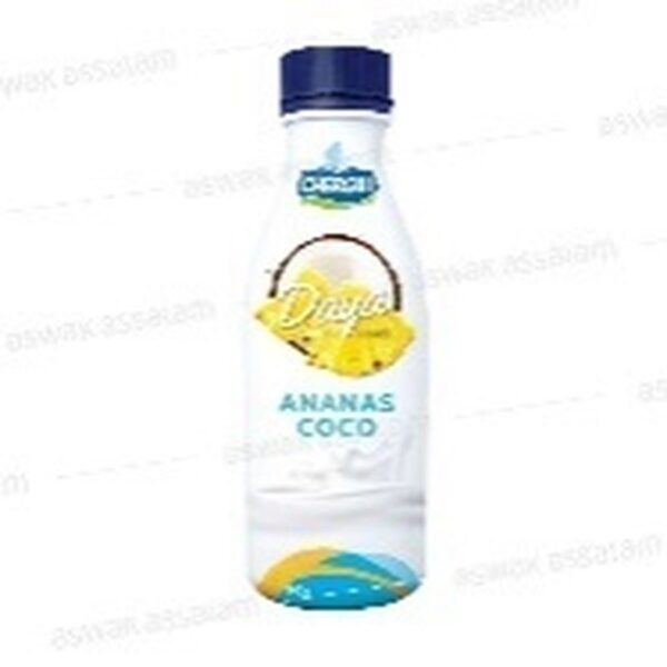 CHERGUI DAYA ANANAS COCO 900G